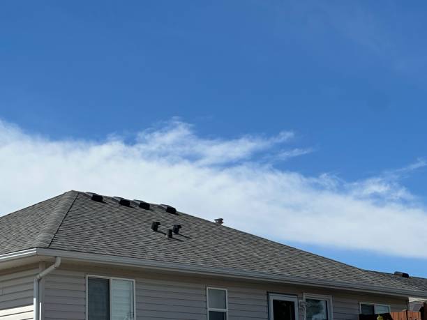 Best Storm Damage Roof Repair  in Schoolcraft, MI